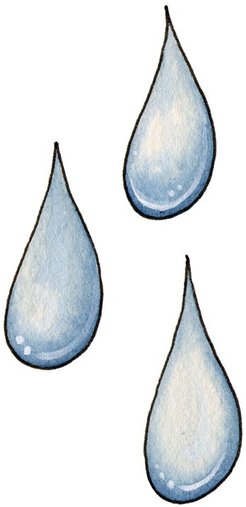 [Rain Drops[4].jpg]